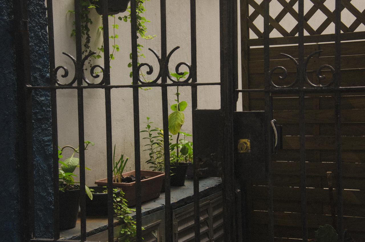 ריו דה ז'ניירו The Backpacker Cat Hostel מראה חיצוני תמונה